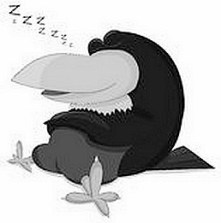 sleeping-raven-vector-isolated-white-48588759