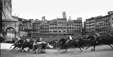 Palio2